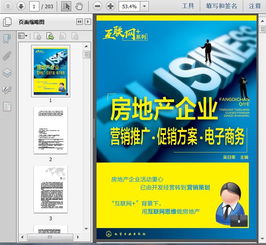 房地产企业营销策划推广、促销方案与电子商务网络营销的整合策略