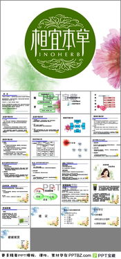 相宜本草市场营销策划方案